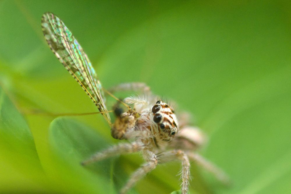 Photograph by Guillermo Topp