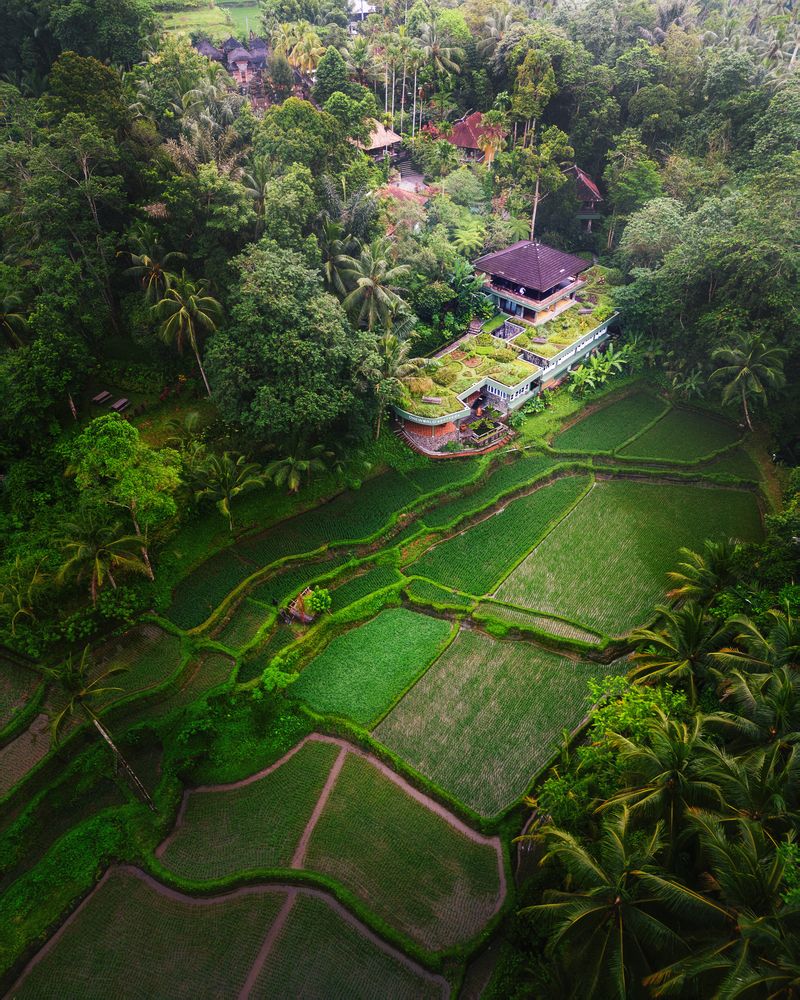 Photograph by Yaskara Dana