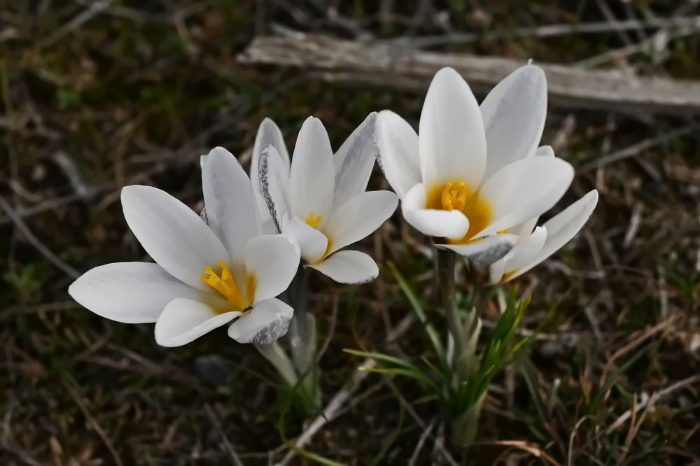 Photograph by Наталья Баранова