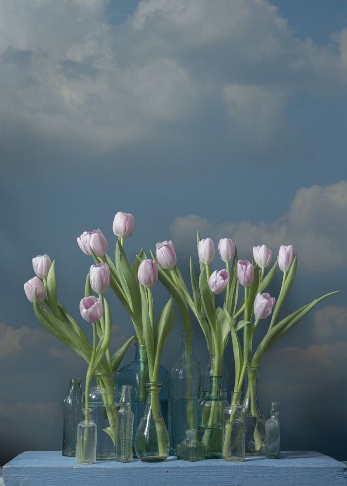 Photograph by Julia Vikhrova