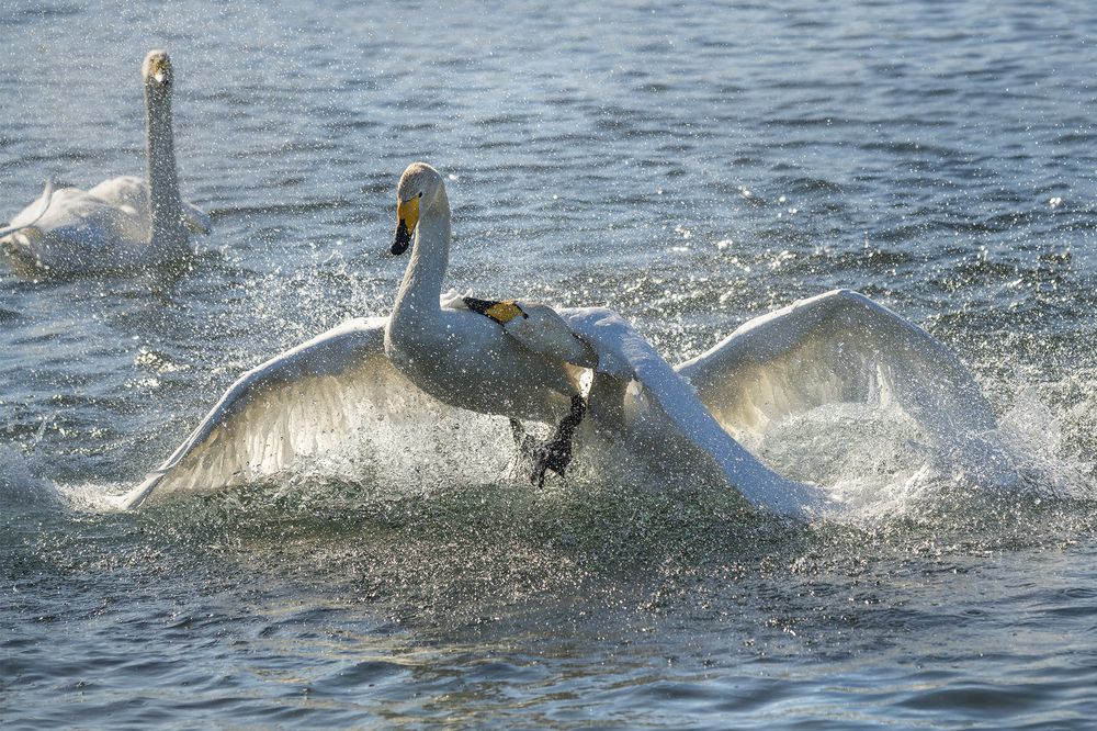 Photograph by Евгений Санин