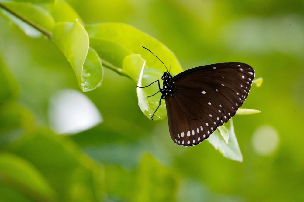 Photograph by Ольга Шугалевская