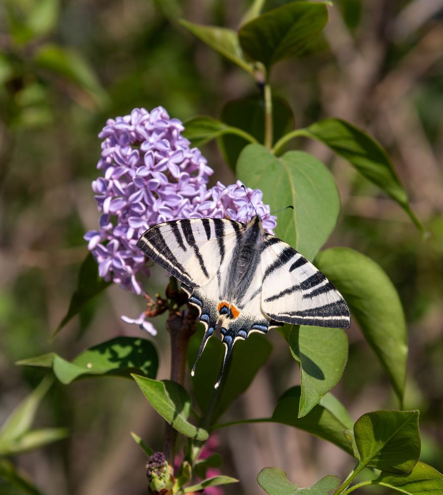 Photograph by Екатерина Крючкова