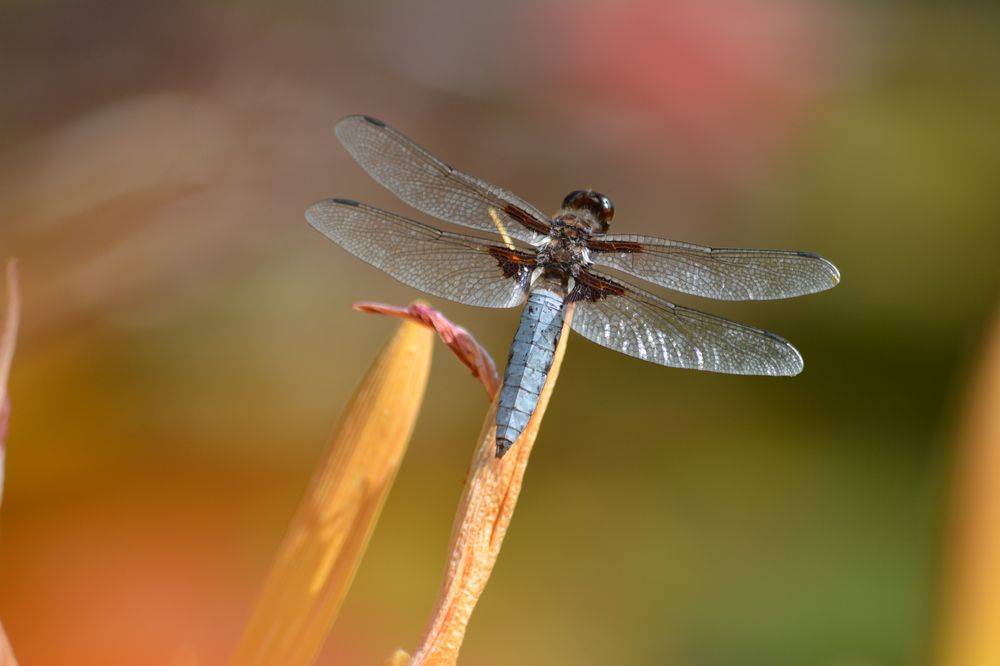 Photograph by Екатерина Крючкова