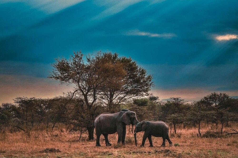 Photograph by Dipanjan Ray