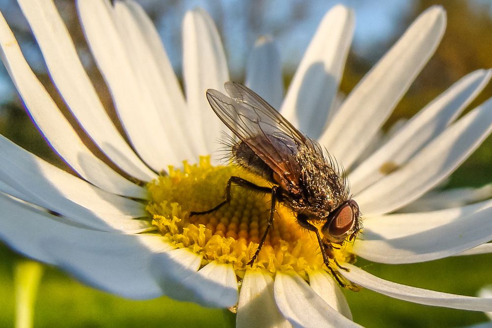 ГОВОРЯТ Я НЕ КРАСИВА