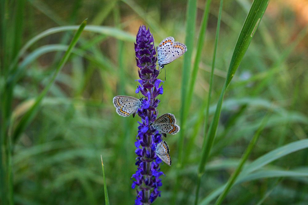 Photograph by Виктория