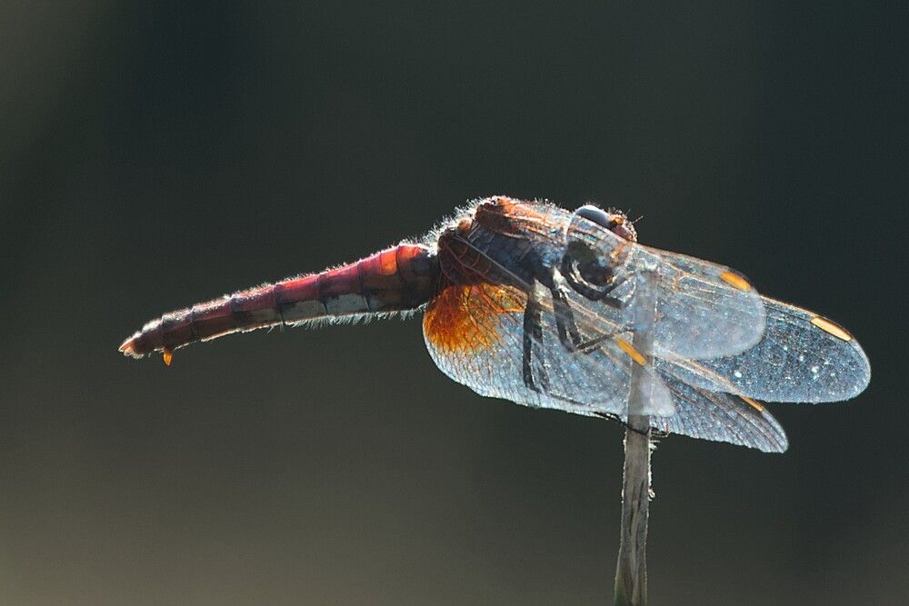 Photograph by Andrés Carmona