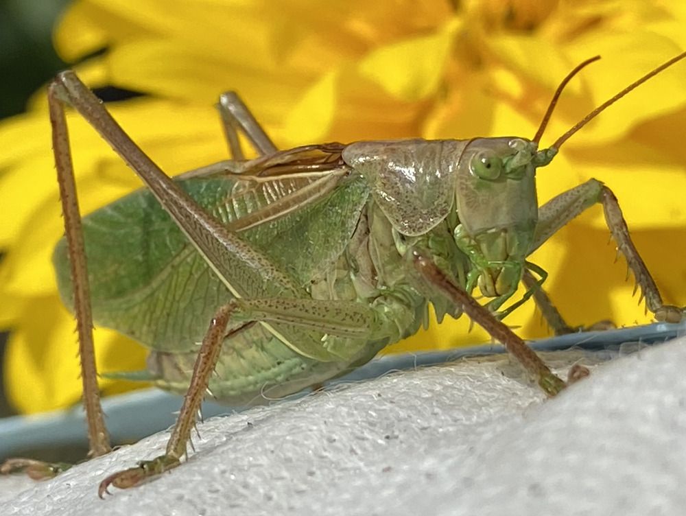 Фотография автора Галина