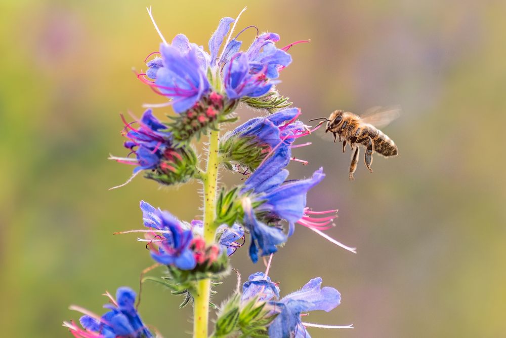 Photograph by Kveta Novotna