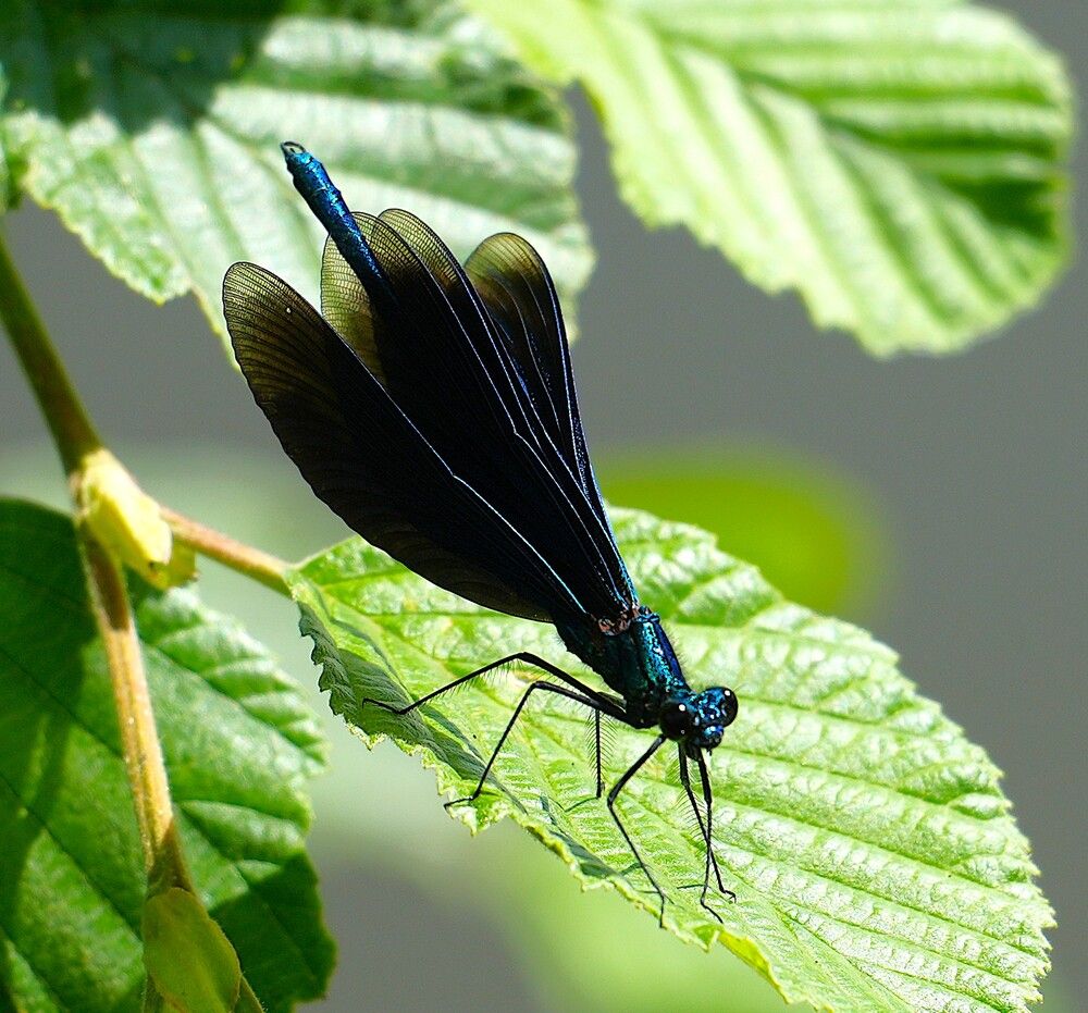 Photograph by Михаил Трусов