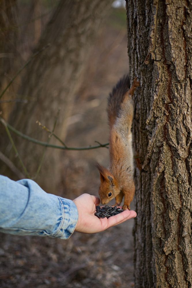 Photograph by Елизавета Соломатина