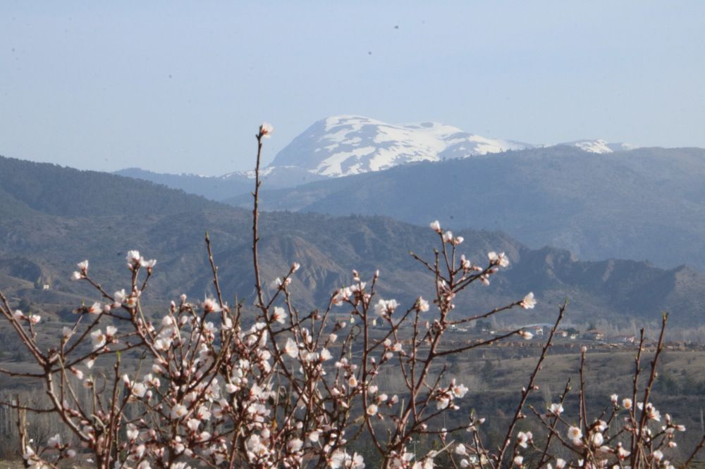 Photograph by Cengiz Yalcin