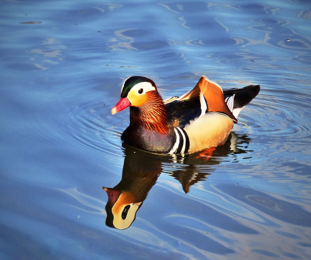 Photograph by Раиса Грабко