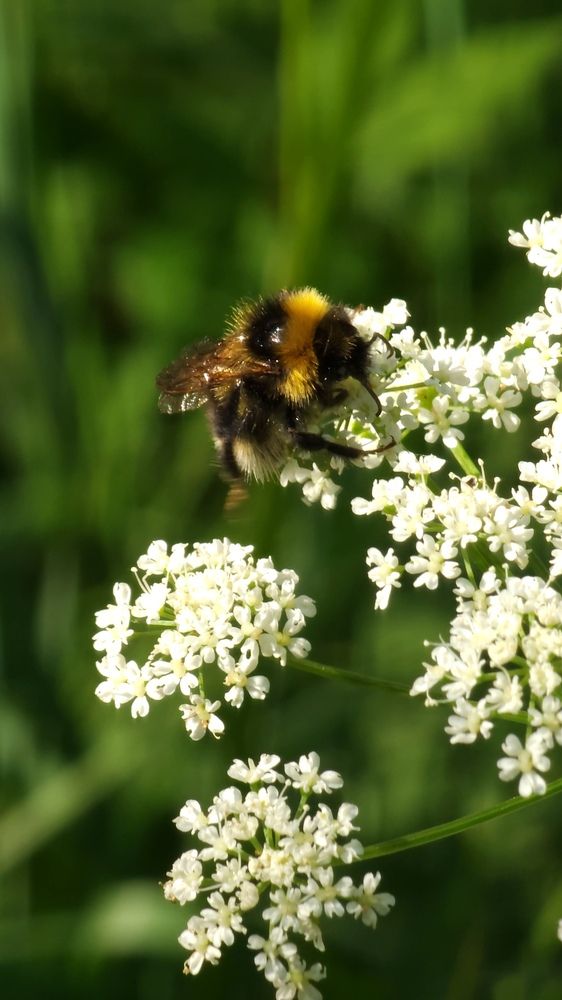 Photograph by Олена Лещенко