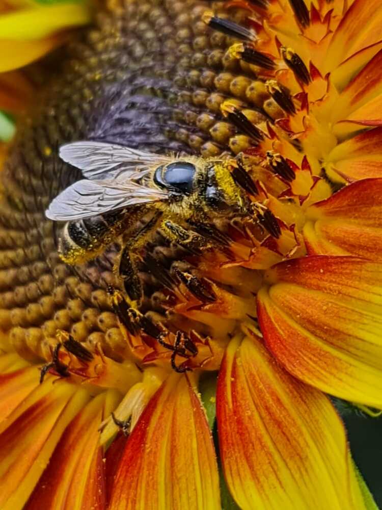 Photograph by Наталья Иванова