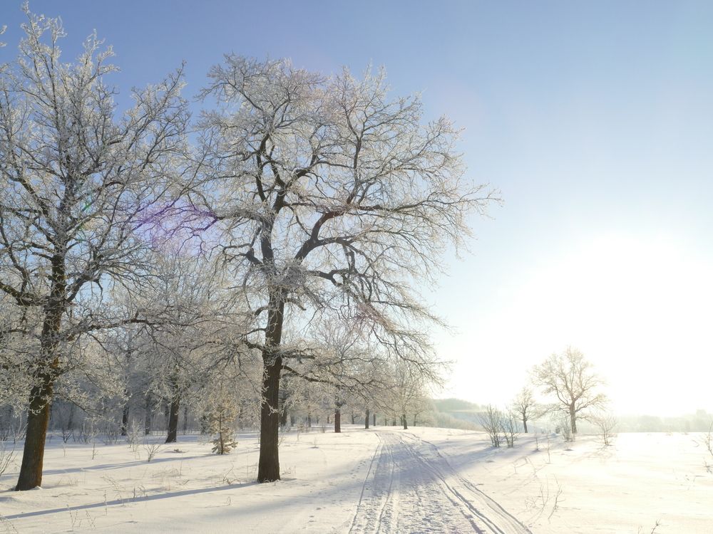 Photograph by Александр Кизим