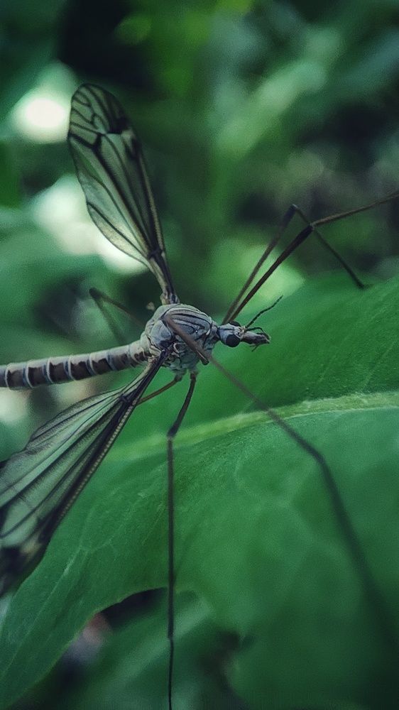 Photograph by Ehsan Fathi