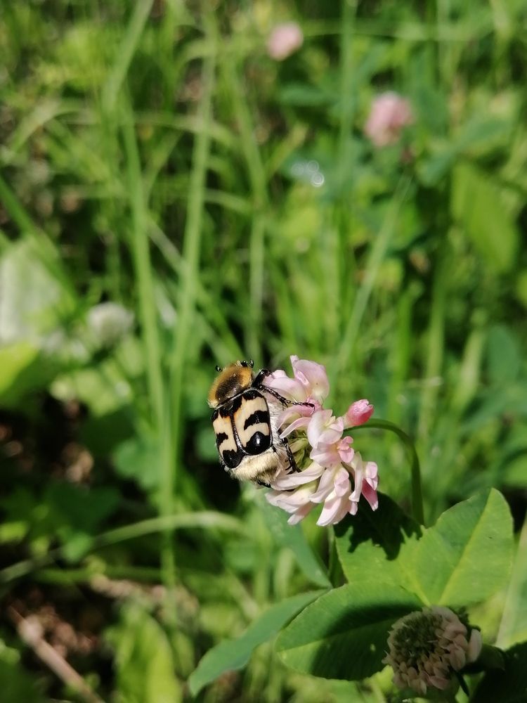 Photograph by Светлана Кудянова