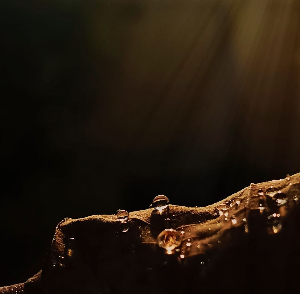 Photo #12086663