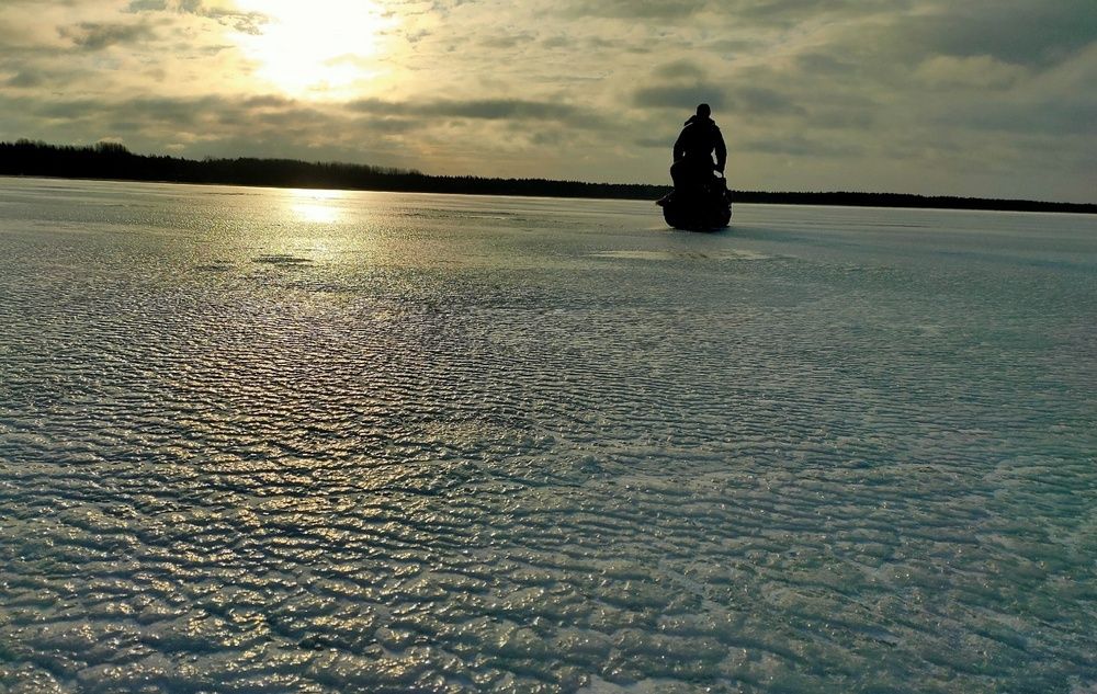 Фотография автора Елена Баранова