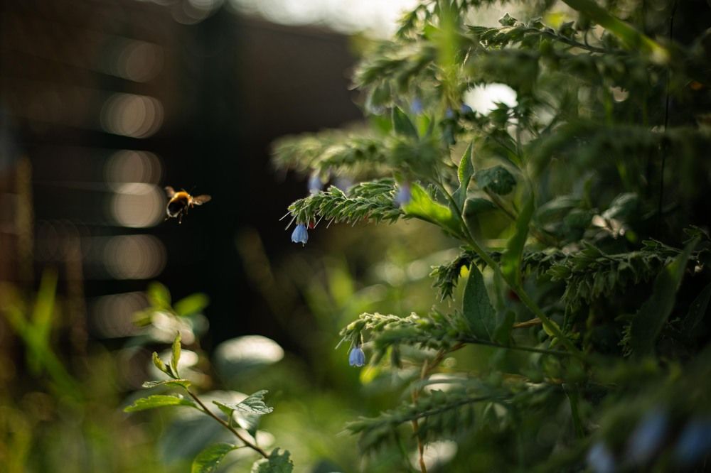 Photograph by Анастасия Кобелева