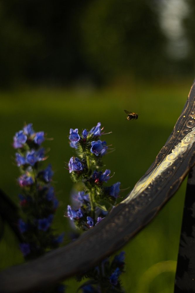 Photograph by Анастасия Кобелева
