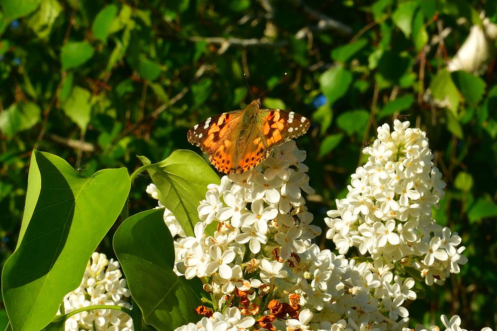 Photograph by Юрий Тимофеев