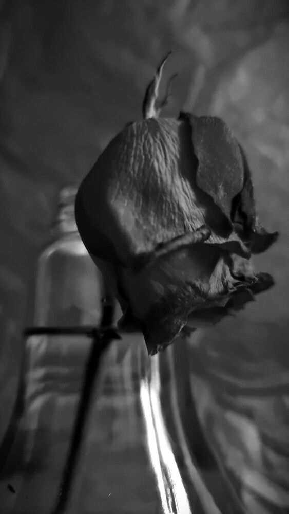 Photograph by Gr Marie