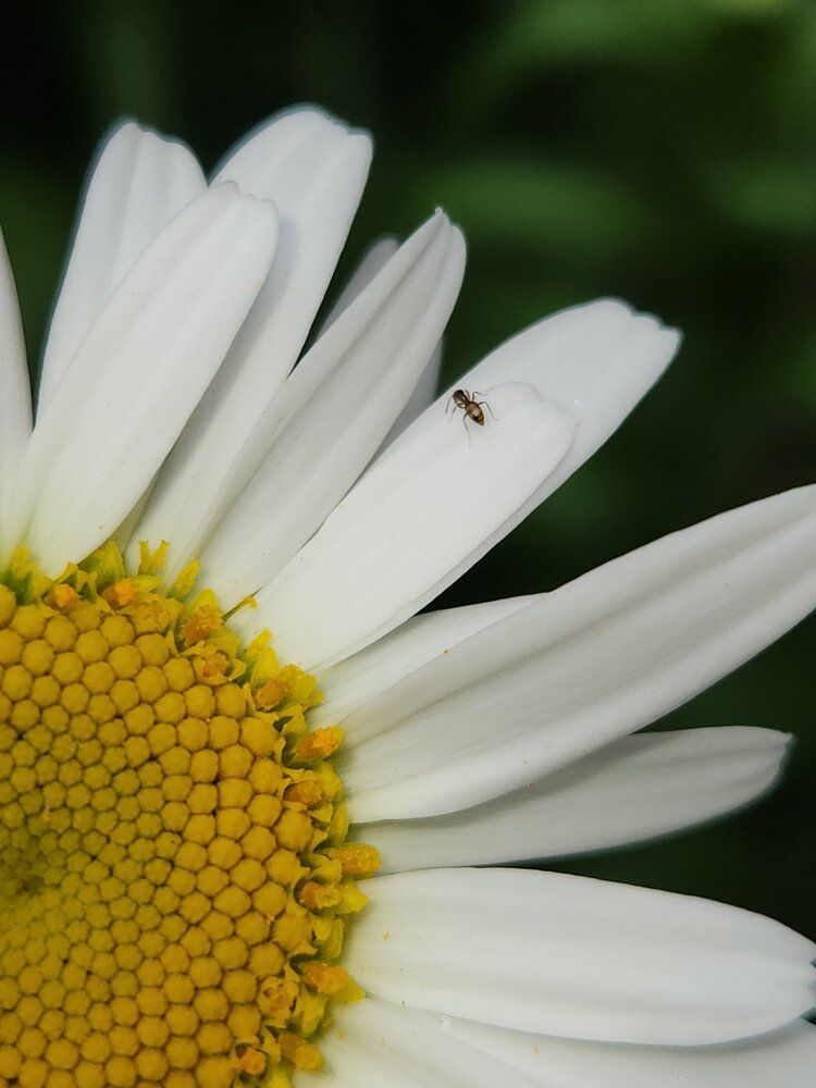 Photograph by Juliana