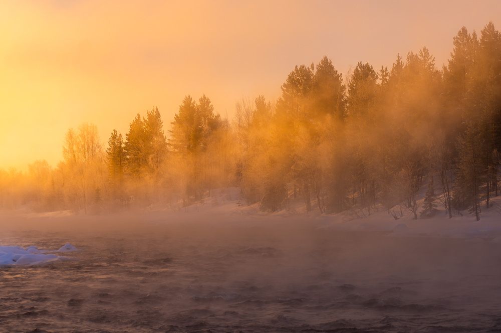Фотография автора Светлана Зимина