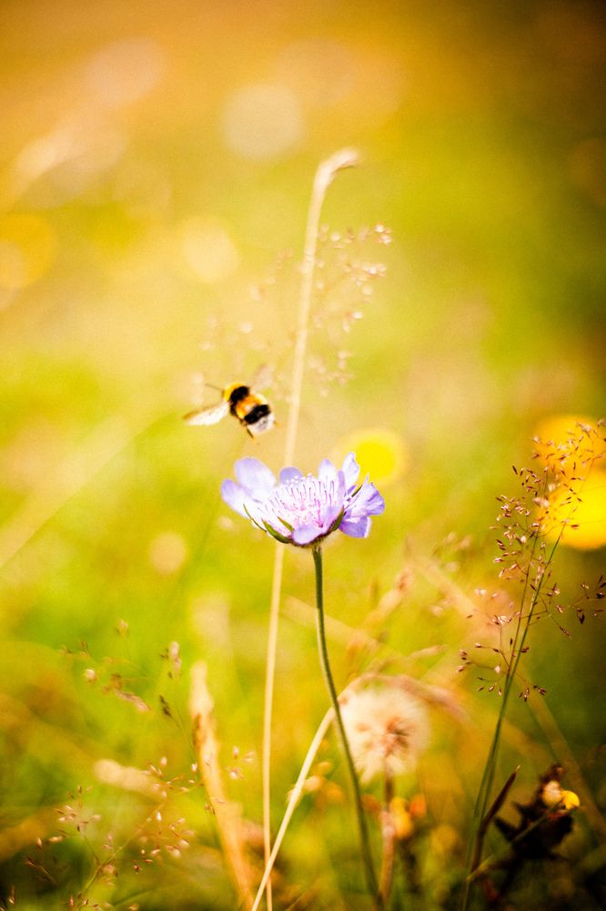 Фотография автора Vadim K