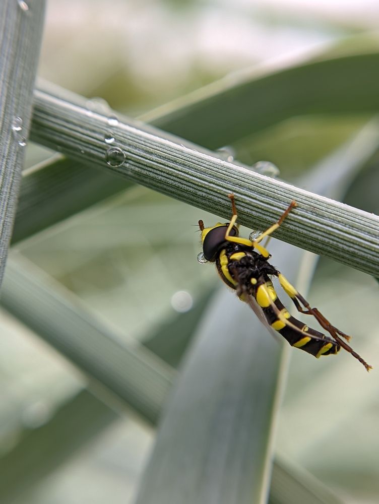 Photograph by Наталья Гущина