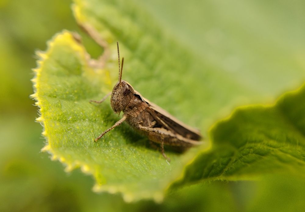 Photograph by Наталья Гущина