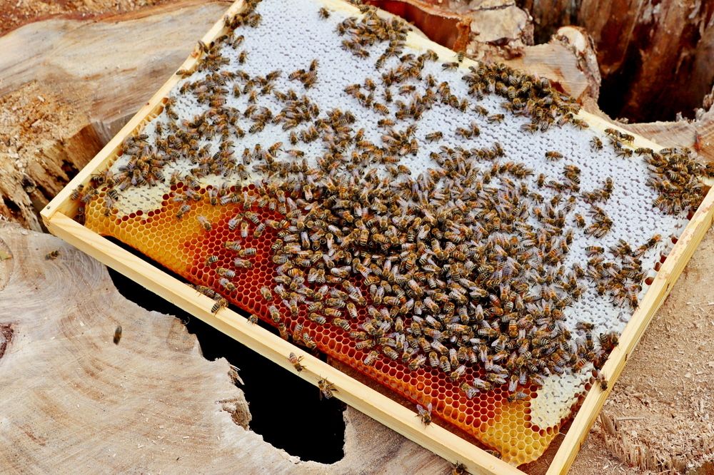 Фотография автора Сергей Барановский