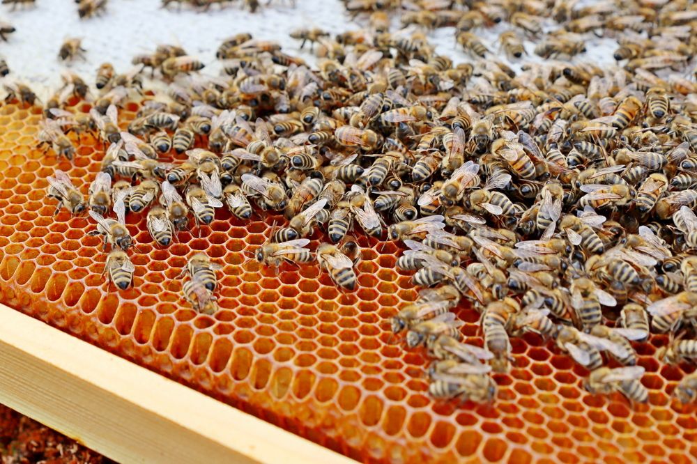 Фотография автора Сергей Барановский