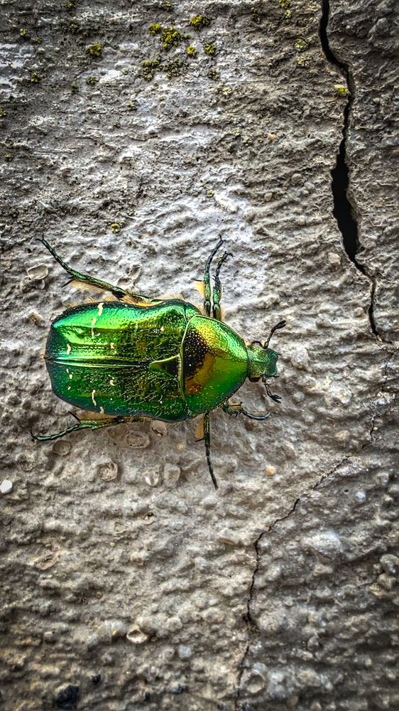 Фотография автора Vadim K