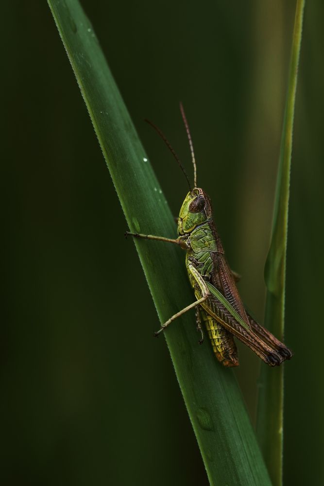 Photograph by Наталия Тимари