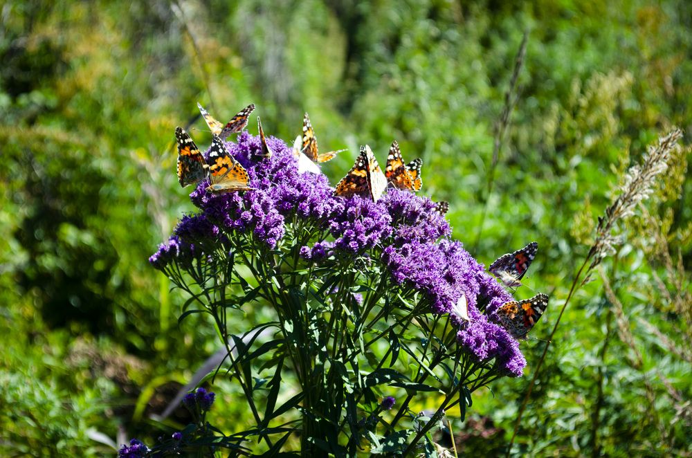 Photograph by Александр Коваль