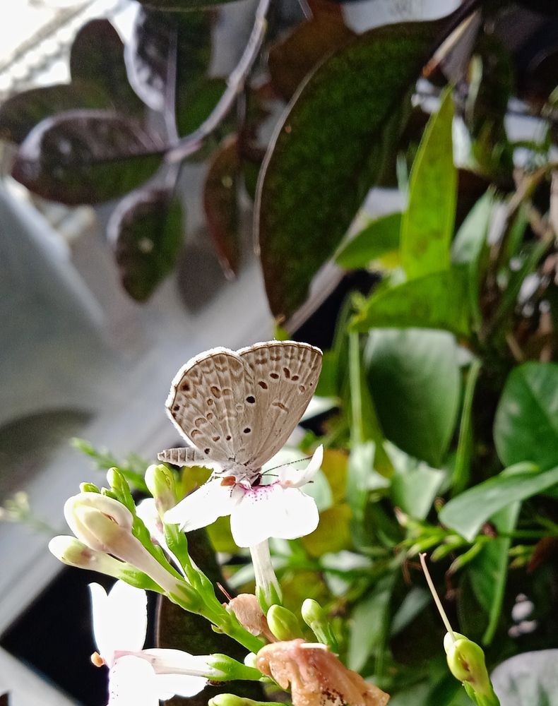 Photograph by Yasha Akhtar