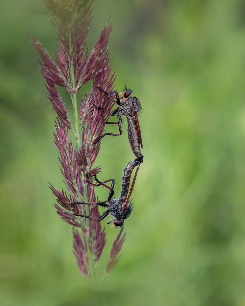 Фотография автора Анна Олещук
