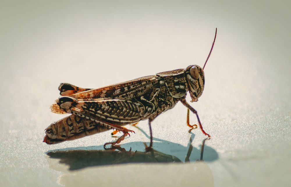 Photograph by Ольга Глущенко