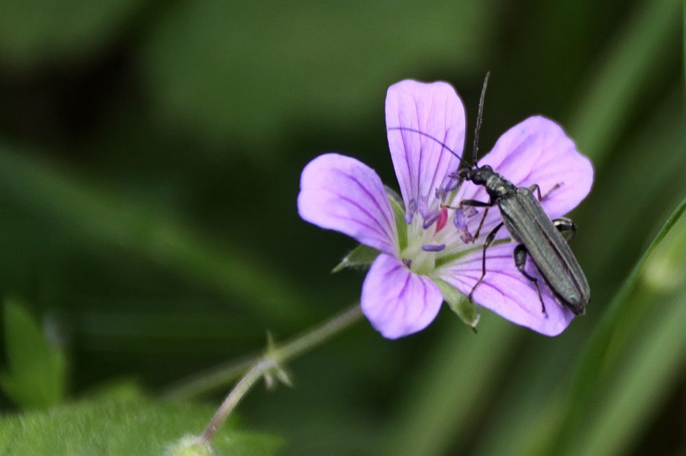 Photograph by Сергей Черных