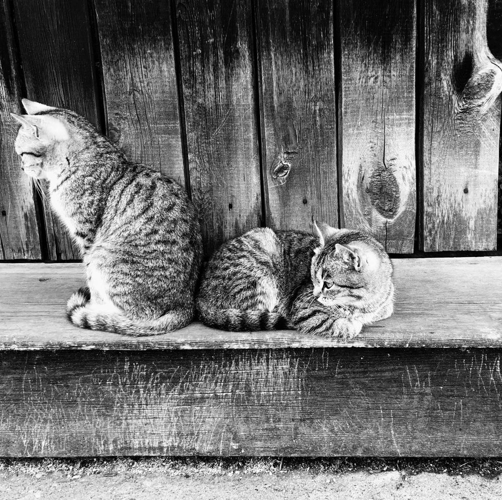 Photograph by Елена Федорова