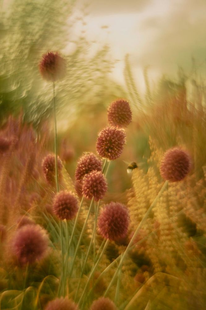 Photograph by Вера Жданова