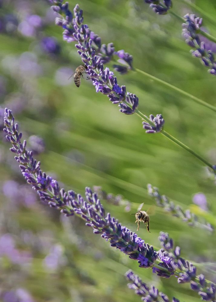 Фотография автора Дмитрий