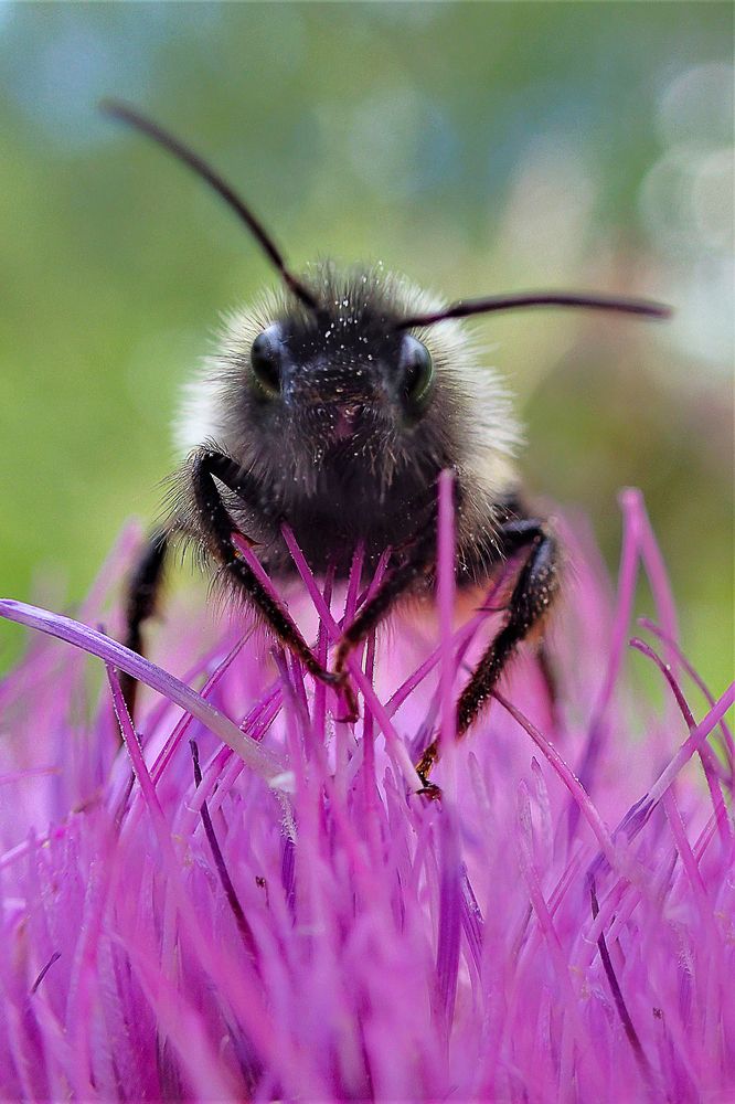 Photograph by Станислав Карташов