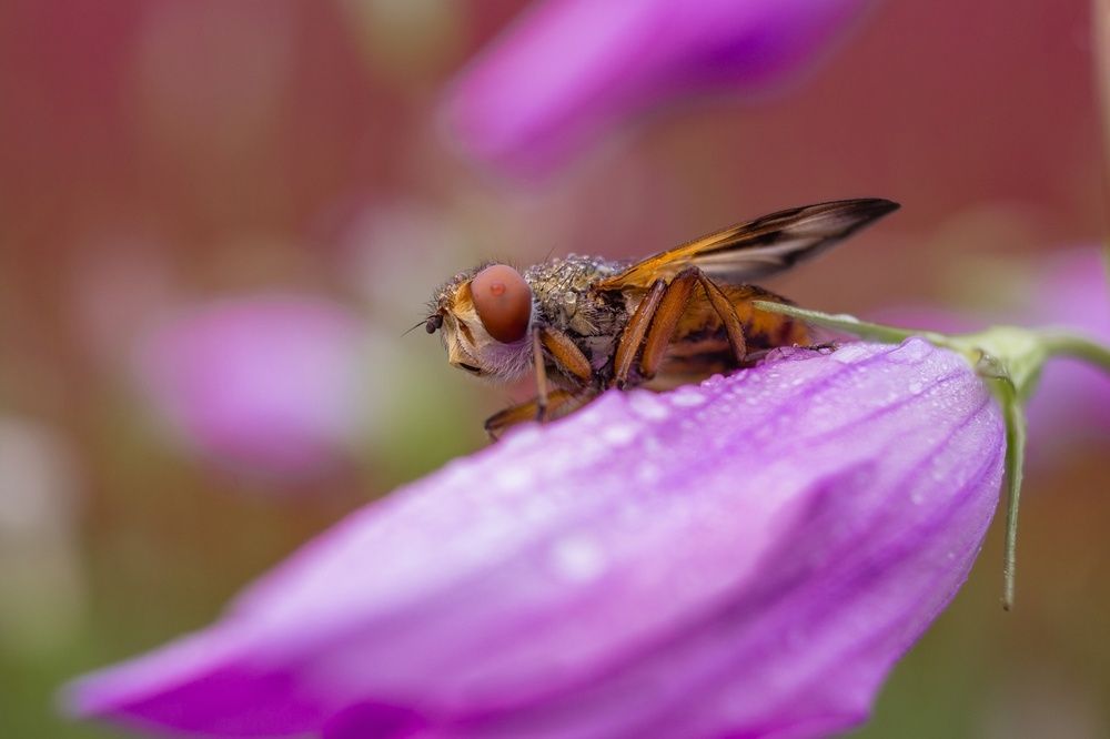 Photograph by Ольга Сергеенко