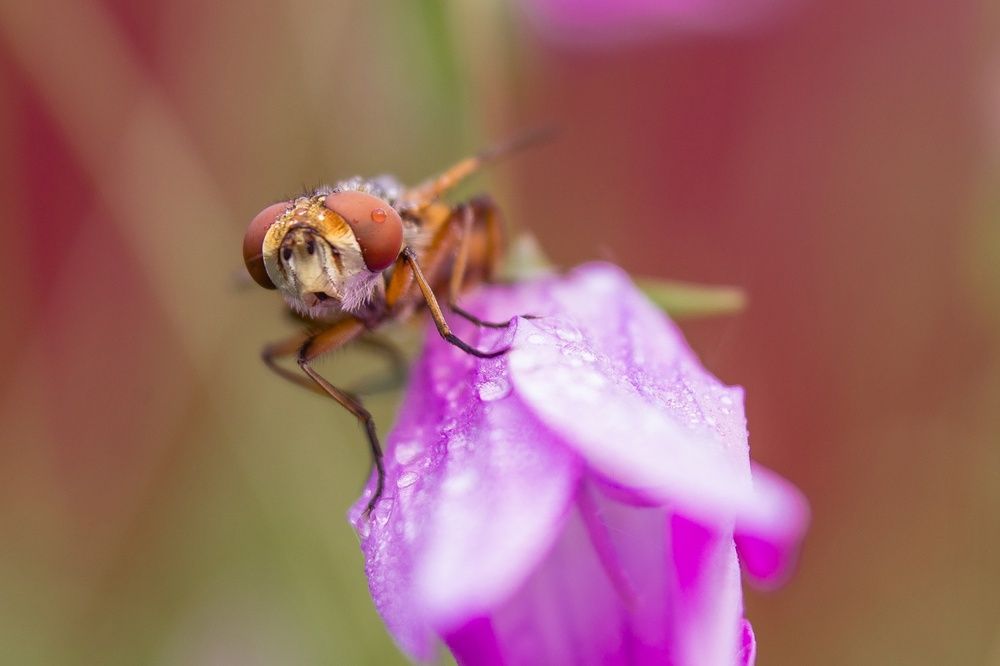 Photograph by Ольга Сергеенко