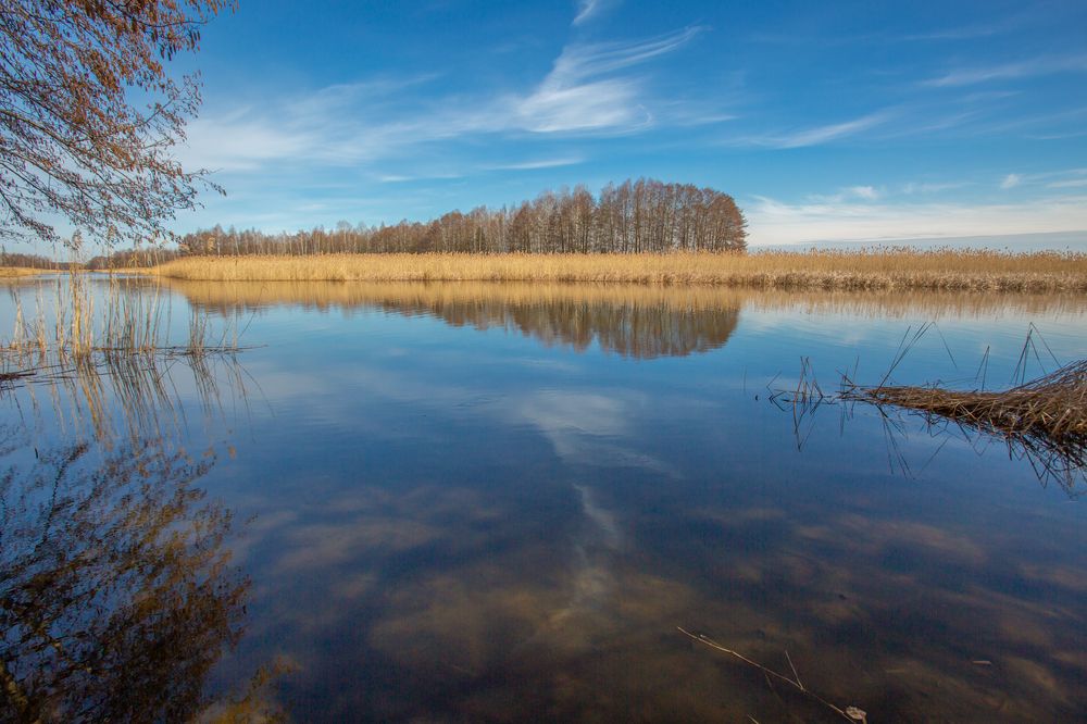 Photograph by Виталий Новиков